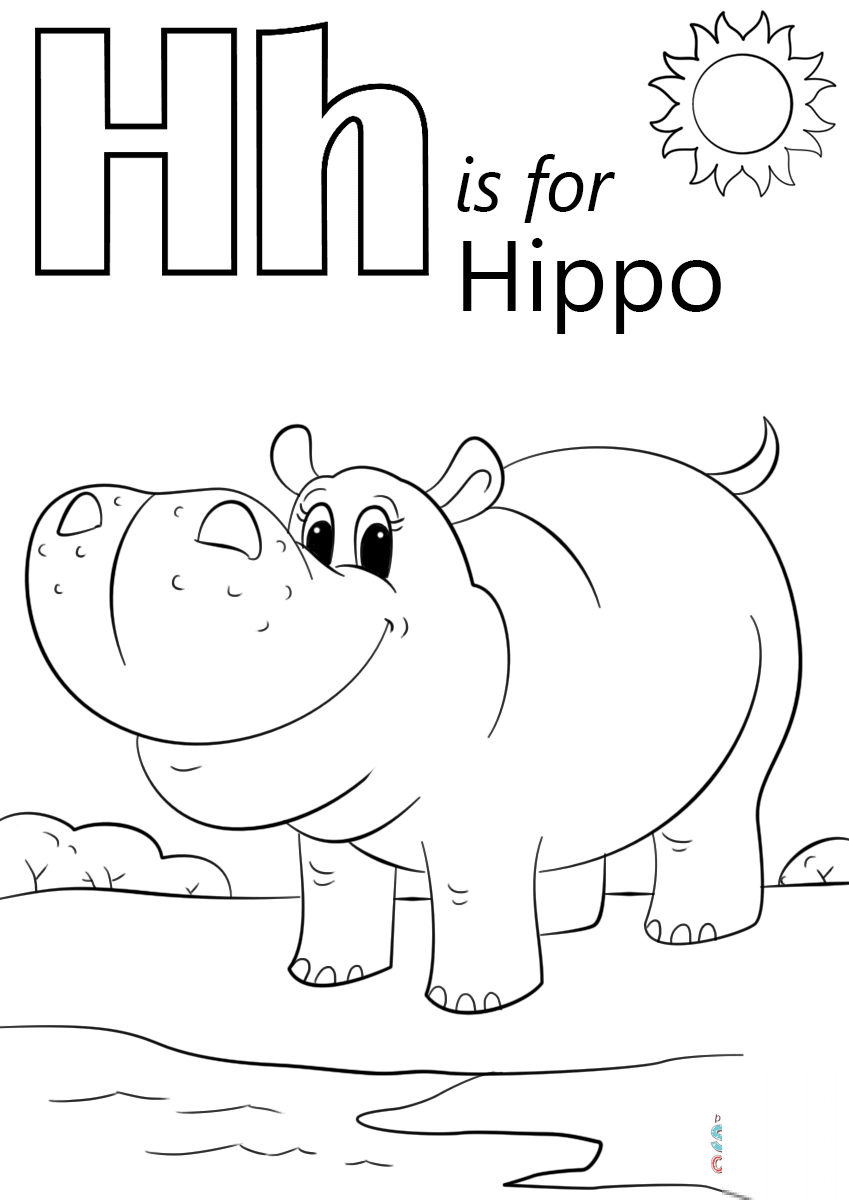 Letter H is for Hippopotamus