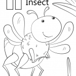 Letter I is for Insect