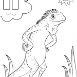 Letter I is for Iguana