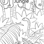 Letter J is for Jungle