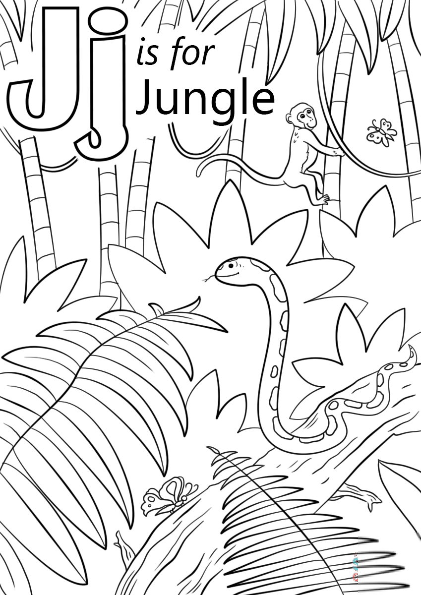 Letter J is for Jungle