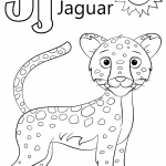 Letter J is for Jaguar