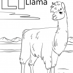 Letter L is for Llama