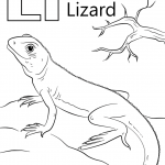 Letter L is for Lizard
