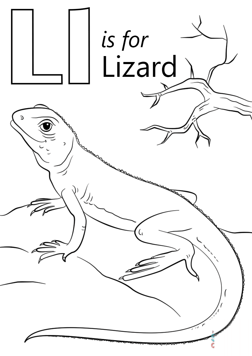 Letter L is for Lizard