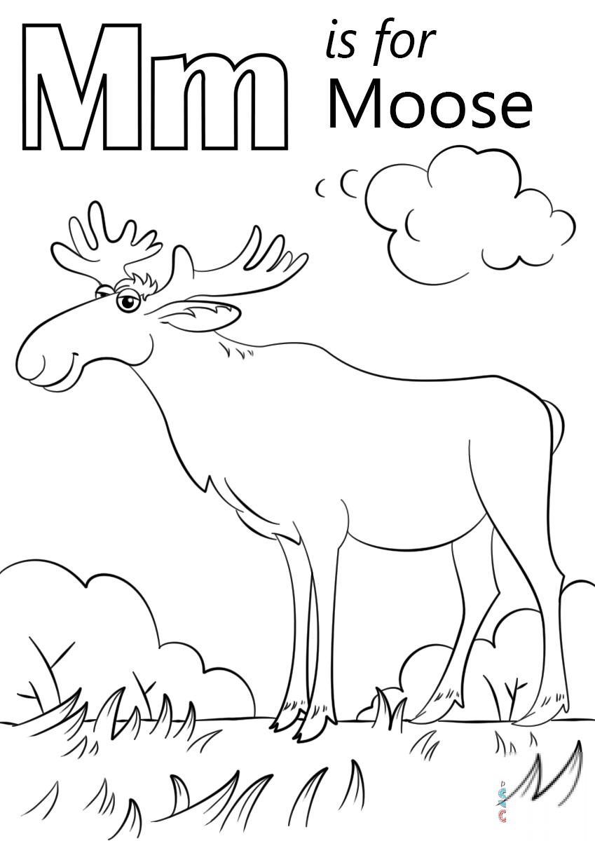 Letter M is for Moose
