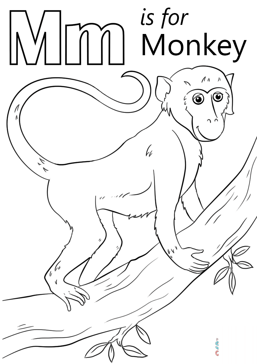 Letter M is for Monkey