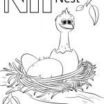 Letter N is for Nest