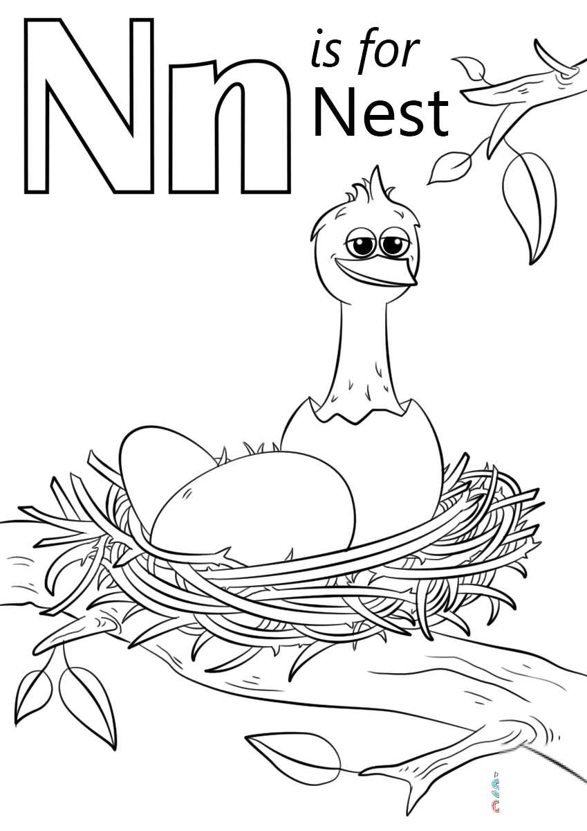 Letter N is for Nest