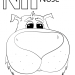 N is for Nose