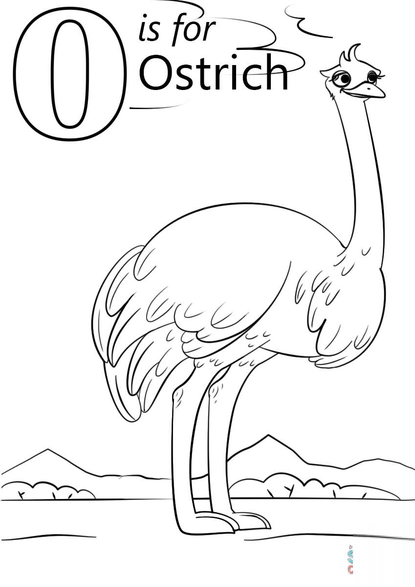 Letter O is for Ostrich