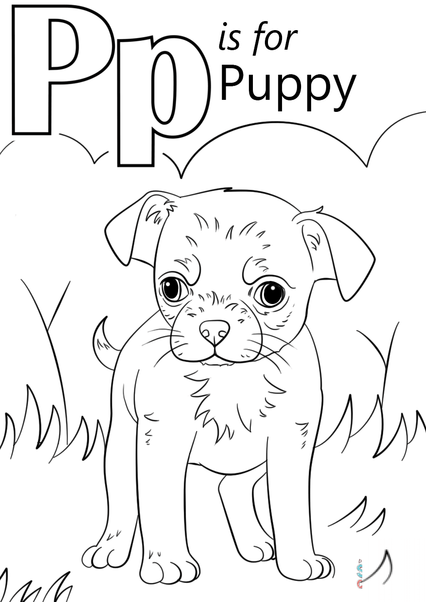Letter P is for Puppy