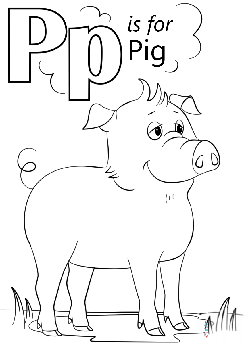 Letter P is for Pig