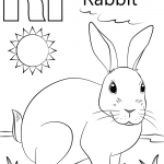 Letter R is for Rabbit