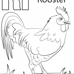 Letter R is for Rooster