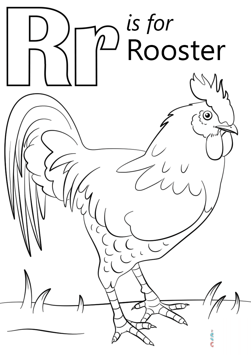 Letter R is for Rooster