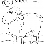 Letter S is for Sheep