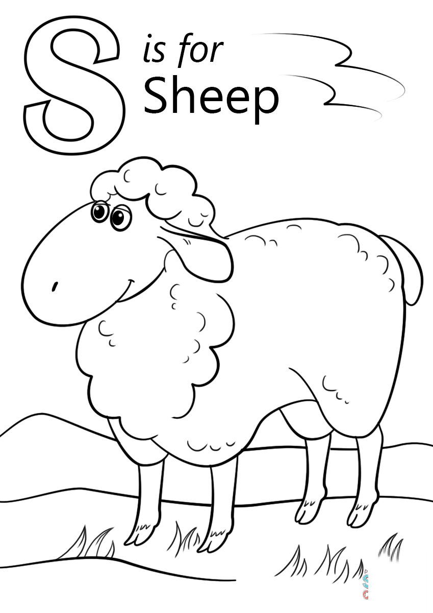 Letter S is for Sheep