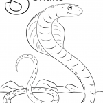 Letter S is for Snake