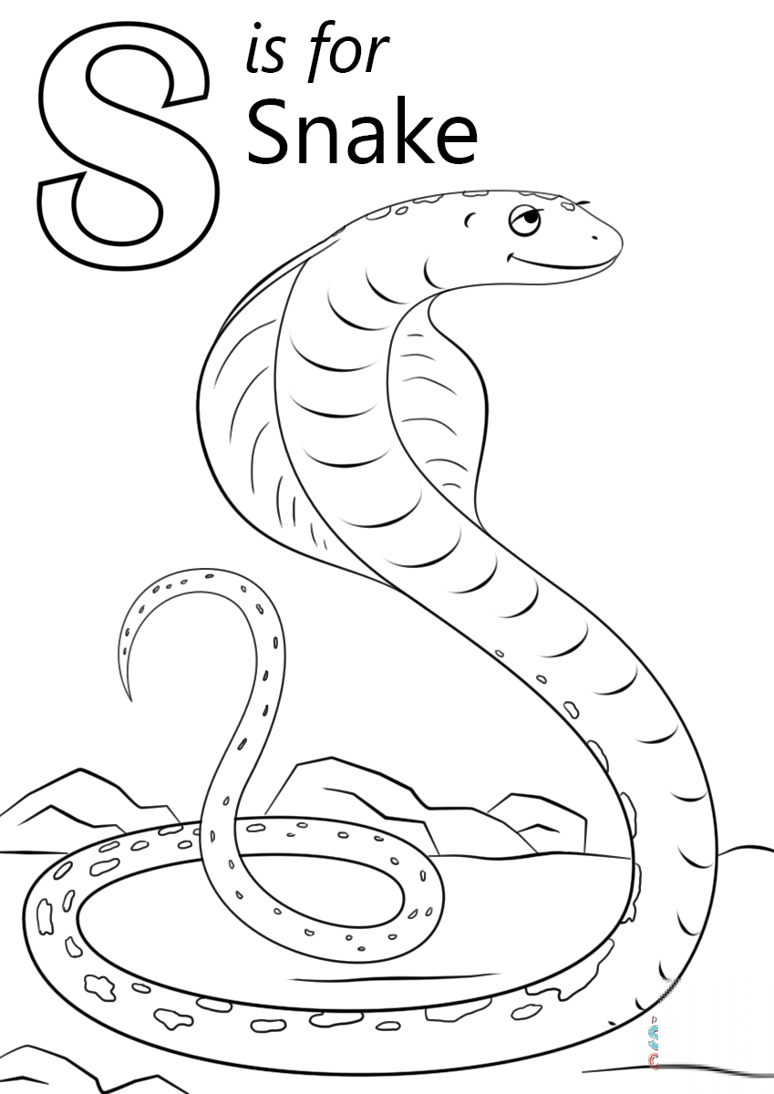 Letter S is for Snake