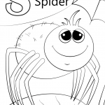 Letter S is for Spider