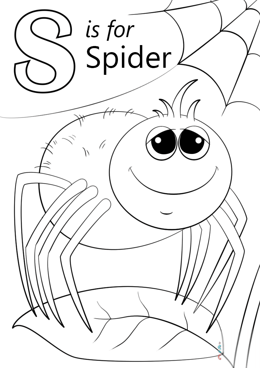 Letter S is for Spider