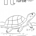 T is for Turtle