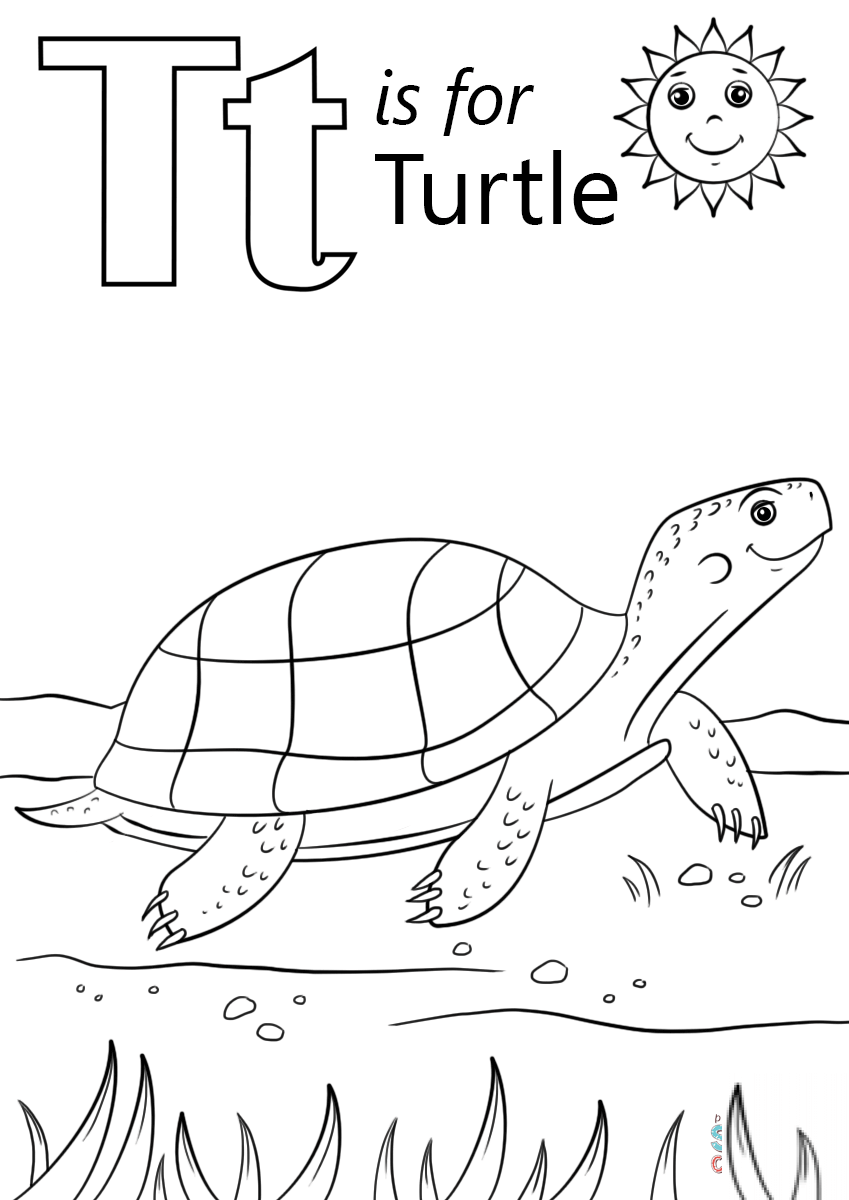 T is for Turtle