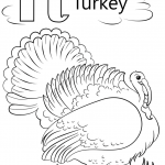T is for Turkey