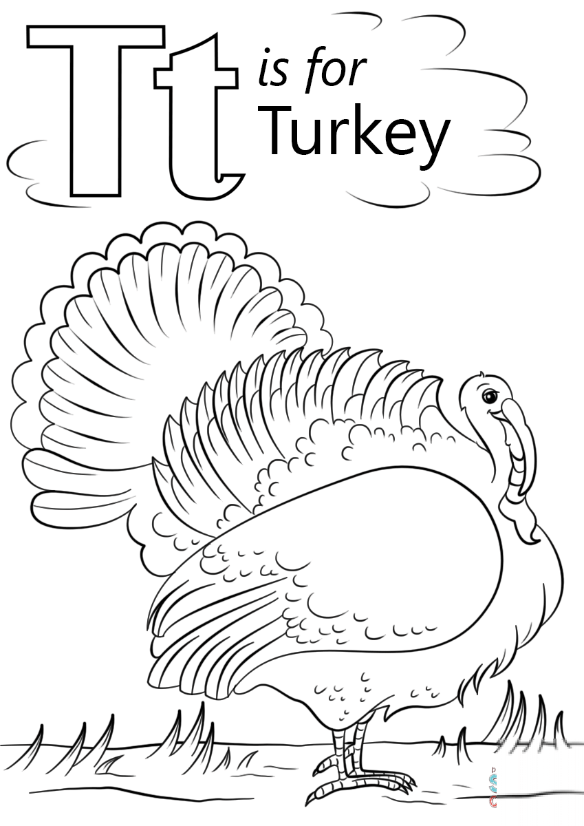 T is for Turkey
