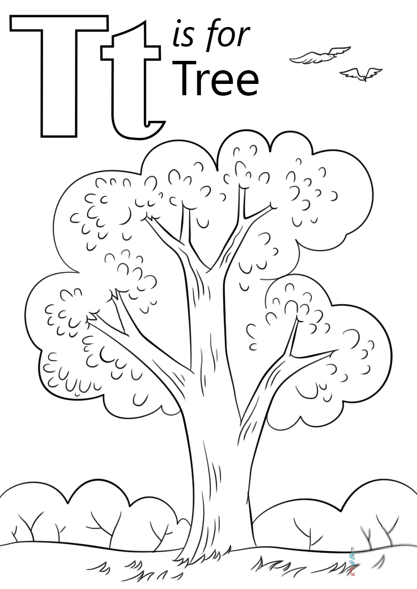 Letter T is for Tree
