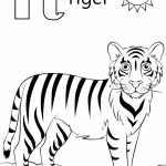 T is for Tiger