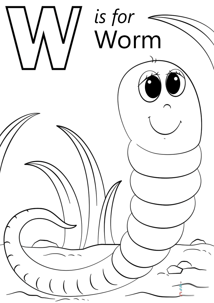 W is for Worm