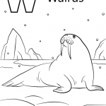 W is for Walrus