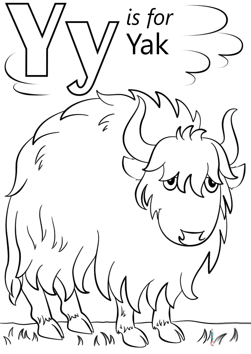 Letter Y is for Yak