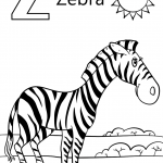 Letter Z is for Zebra