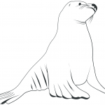 Kontur lwa morskiego