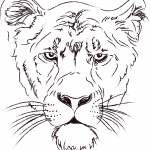 Lioness Head
