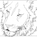 Male Lion Head