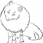 Śliczny lis polarny