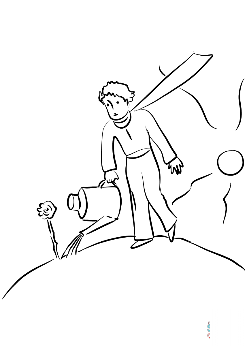 Little Prince Tended the Flower