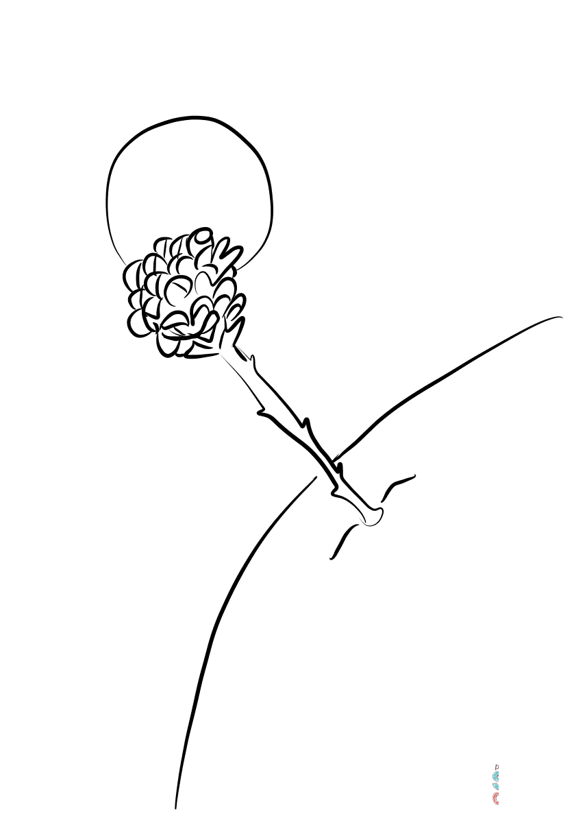 The Secret of the Little Prince's Life