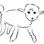 Sickly Sheep