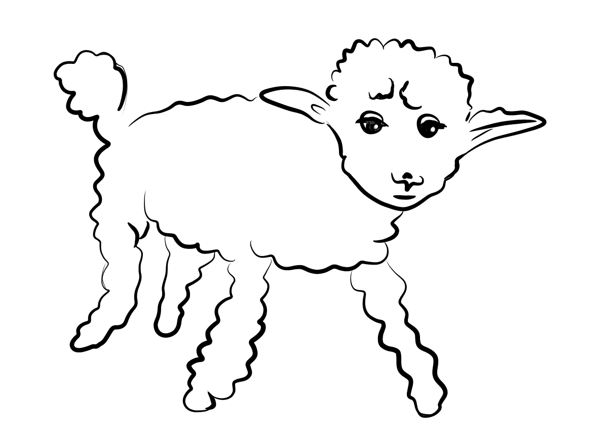 Sickly Sheep