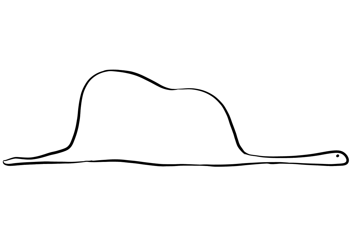 Boa Constrictor Digesting an Elephant