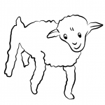 Old Sheep