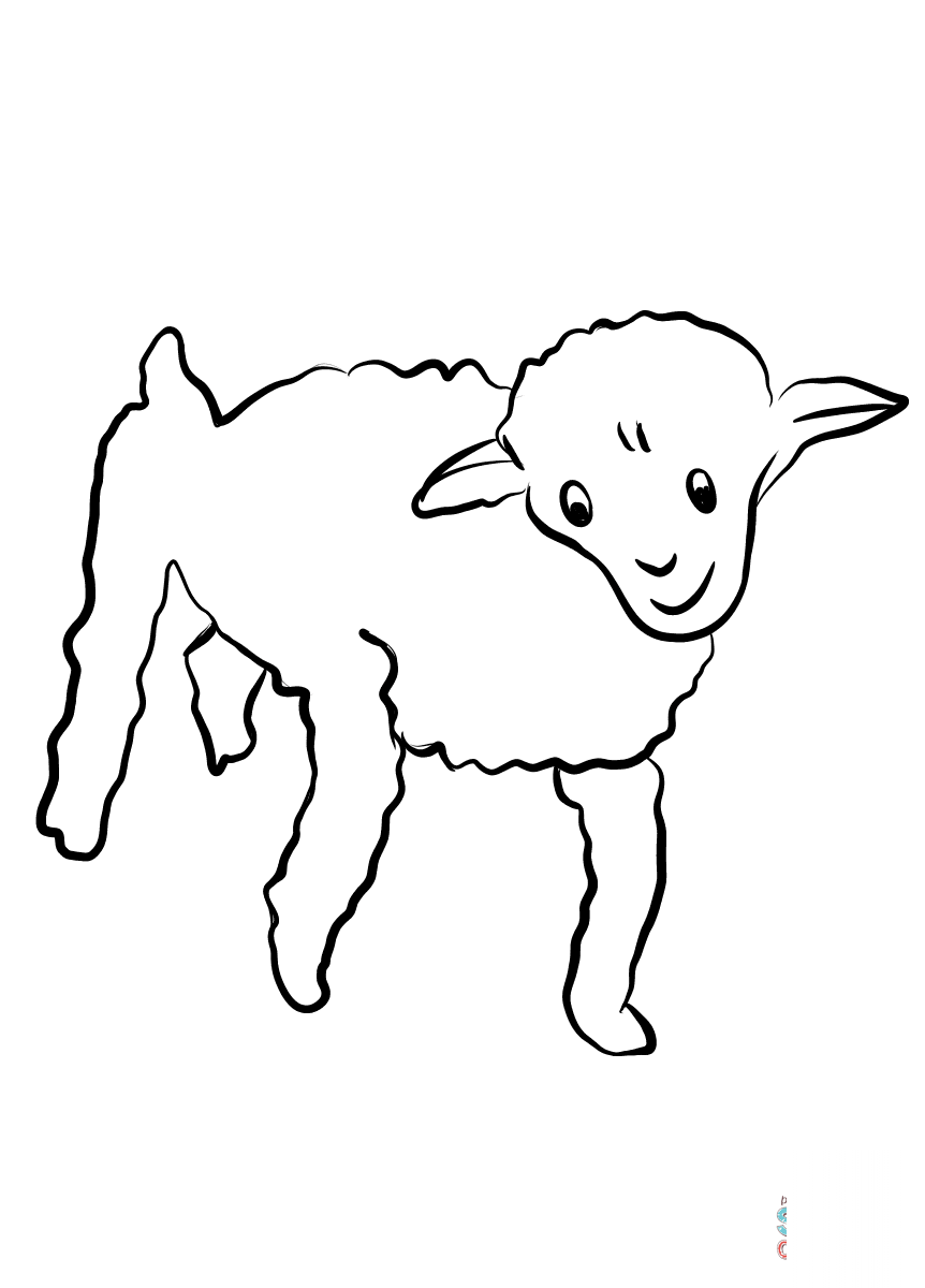 Old Sheep