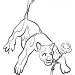 'Let the Tigers Come with Their Claws'