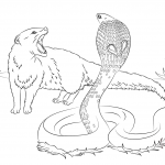 Kobra przeciwko manguście