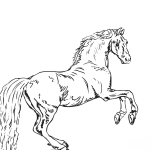 Whistlejacket, George Stubbs